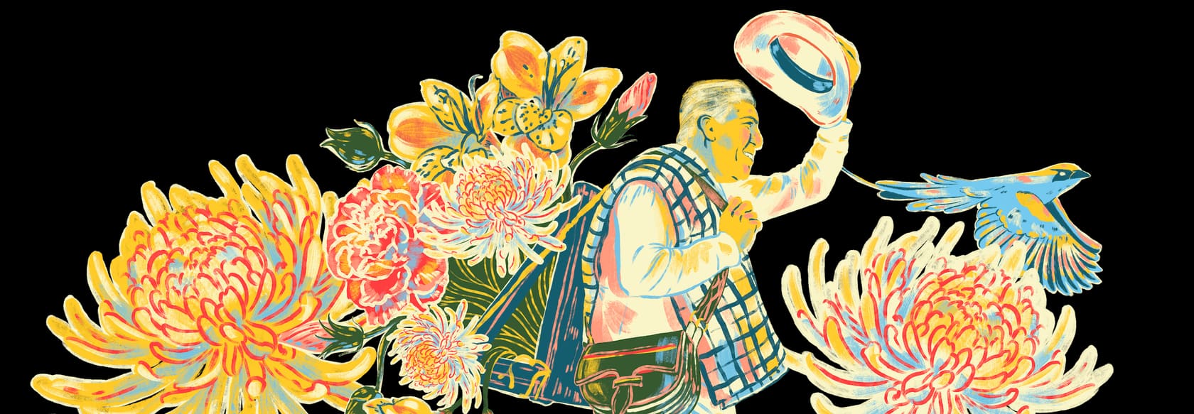 VAOVA illustration of a Colombian silletero carrying flowers, waving his hat, with a tropical bird — The art of happenings.